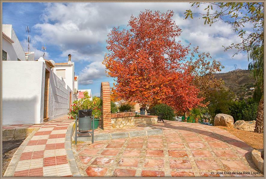 Casa Angelita Caminito Del Rey, Duplex Con Terraza En El Centro De Andalucia Pensionat Valle de Abdalagís Exteriör bild